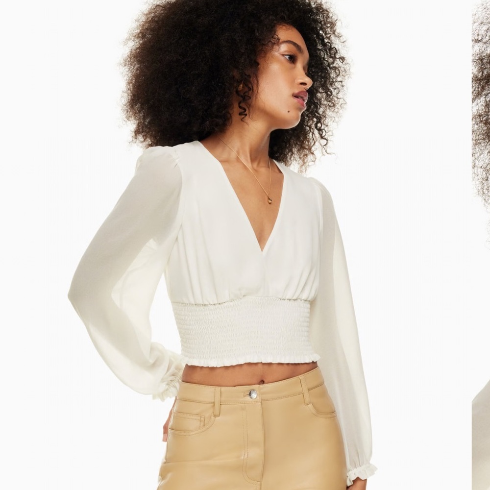 Aritzia Wilfred Wistful Blouse